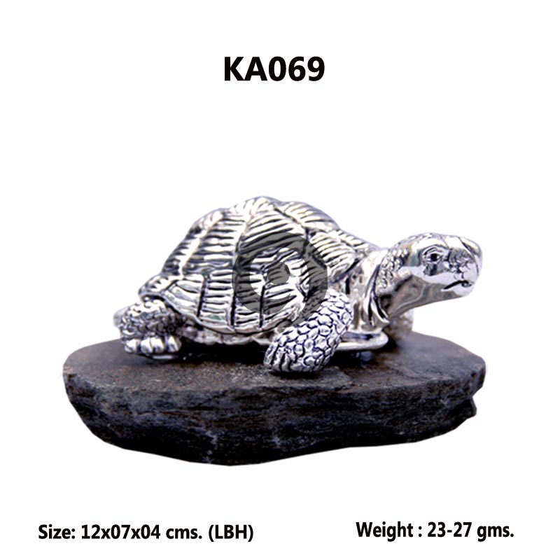 TORTOISE
