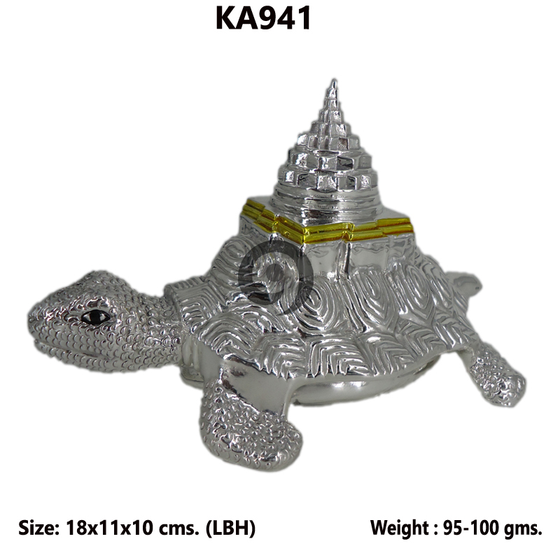 TORTOISE