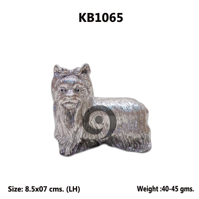 Shih