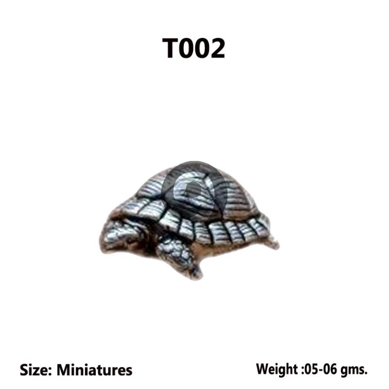 TORTOISE