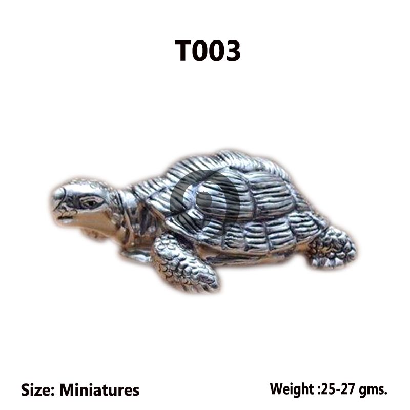 TORTOISE