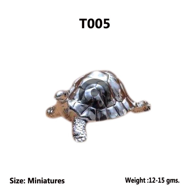 TORTOISE