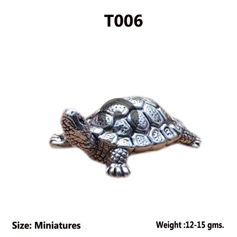 TORTOISE