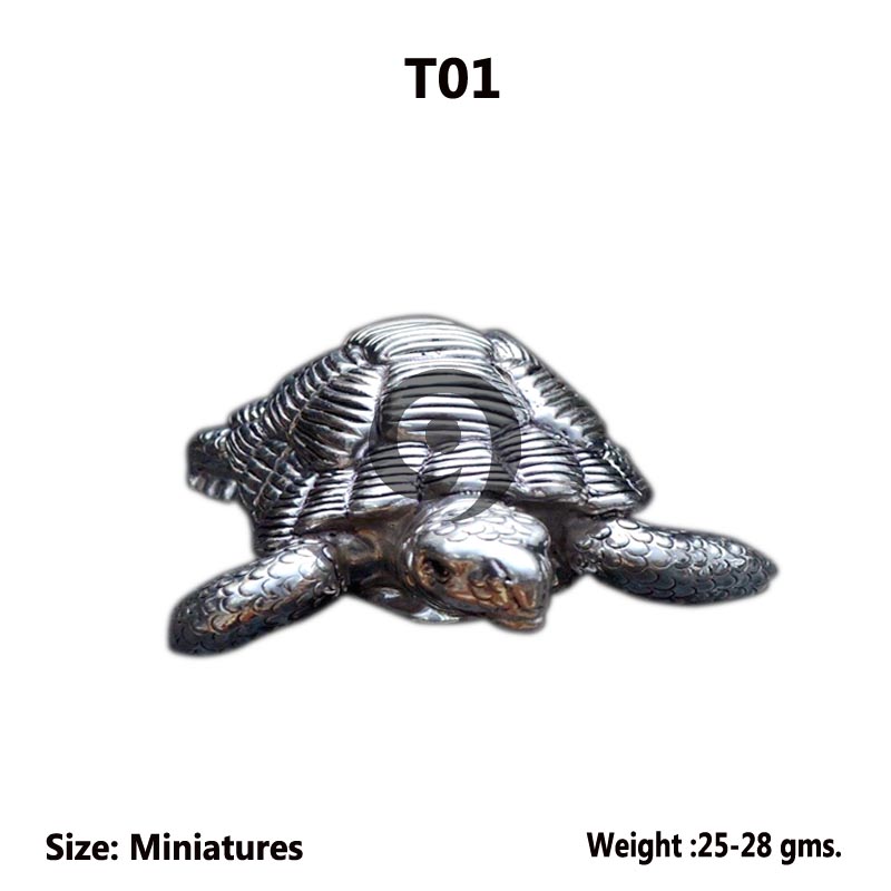 TORTOISE