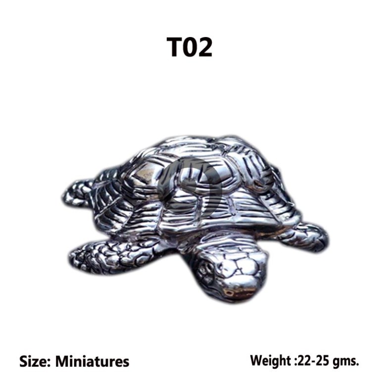 TORTOISE