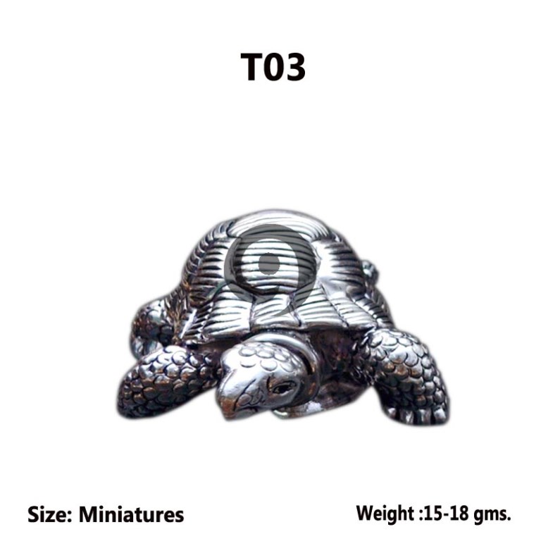 TORTOISE