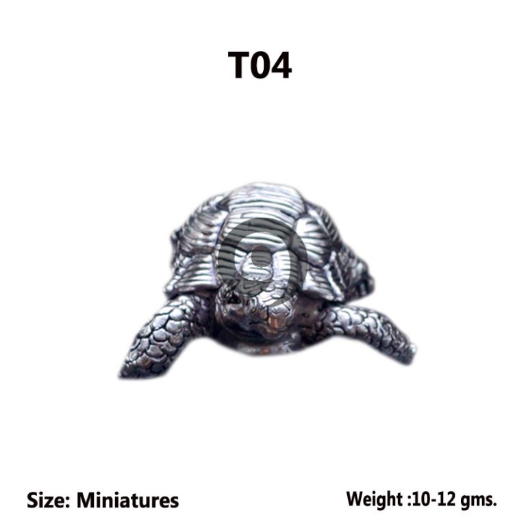 TORTOISE