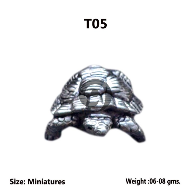 TORTOISE