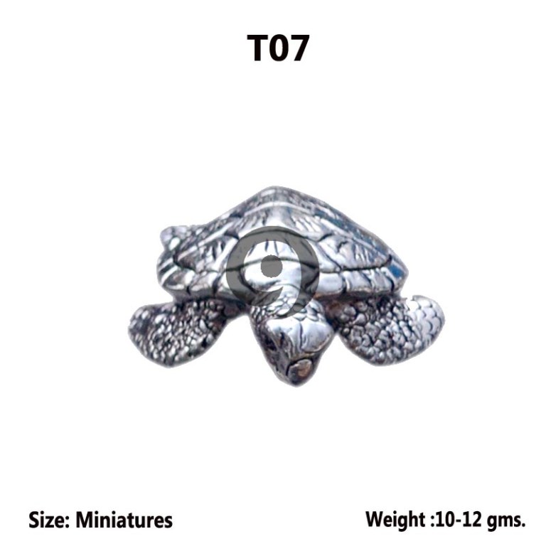 TORTOISE
